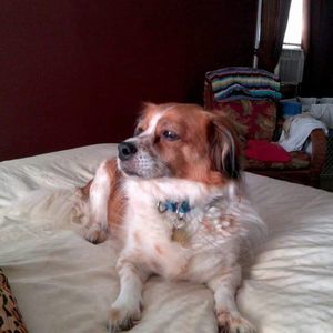 Meet your Posher, Denise